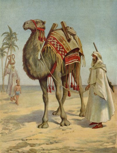 Un mercante arabo da English School